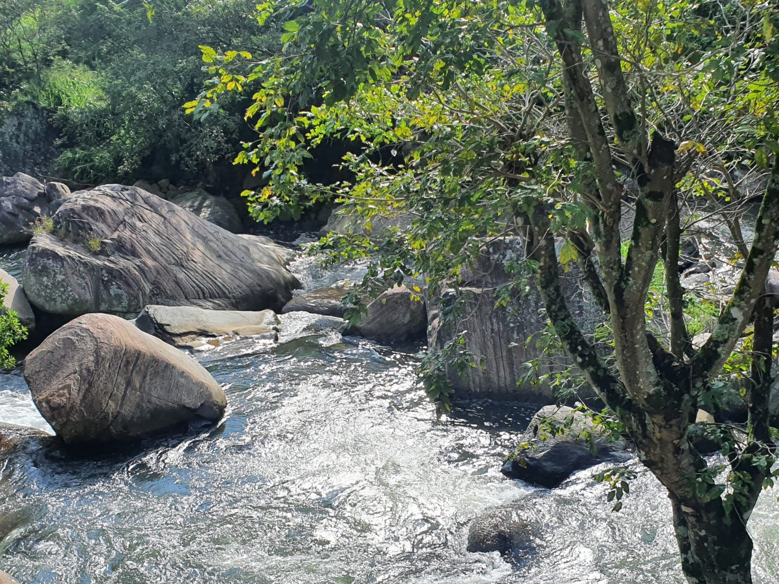 69dfd0db-e2bd-42e8-843a-b632364733da_21_11zon