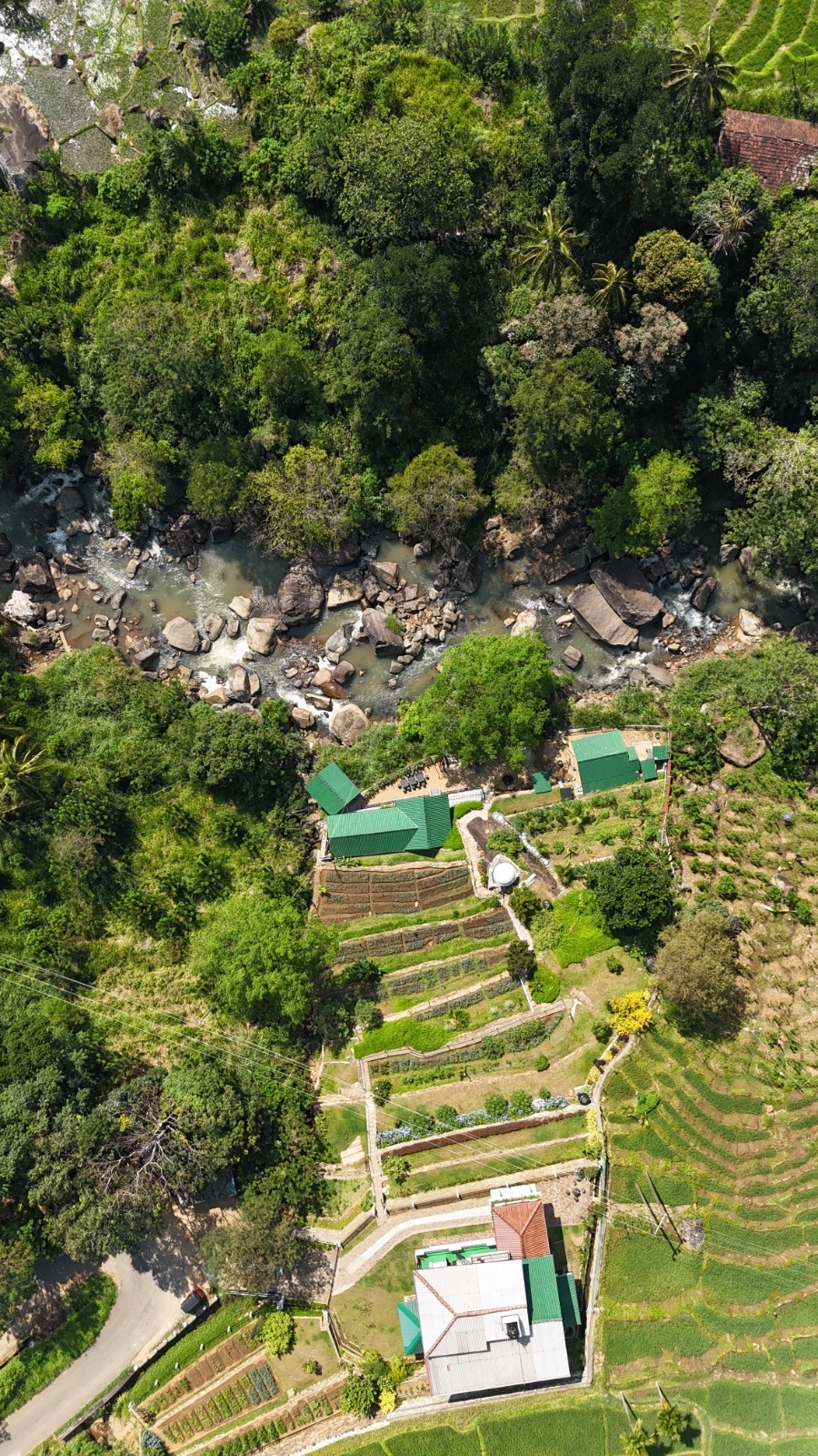 f1e9aee8-4dc4-4fa4-a019-3deb8b8bf474_53_11zon